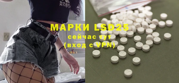 спиды Вяземский