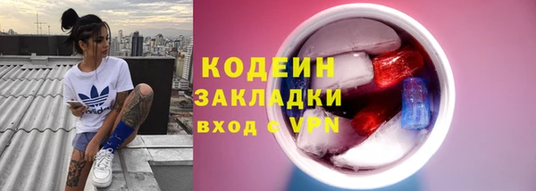 спиды Вяземский