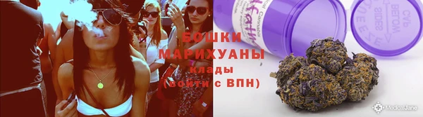 спиды Вяземский