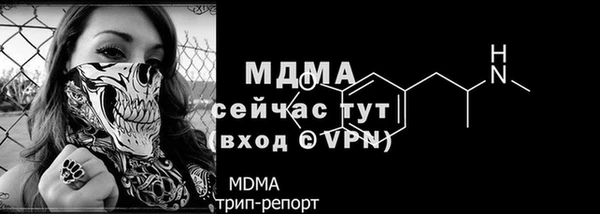 спиды Вяземский
