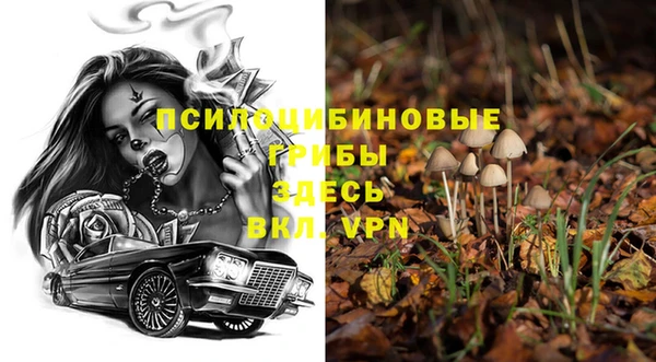 спиды Вяземский