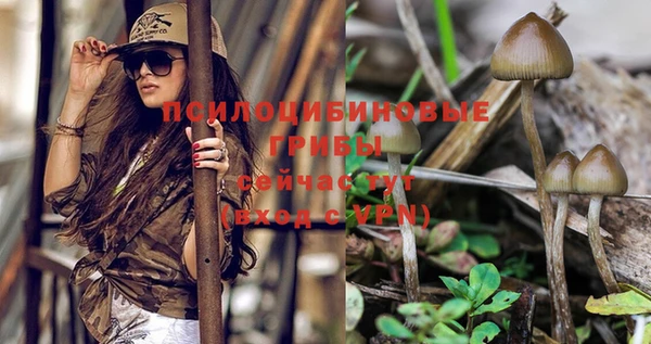 кристаллы Вязники
