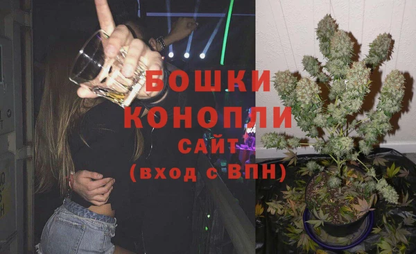 спиды Вяземский