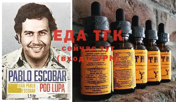 спиды Вяземский
