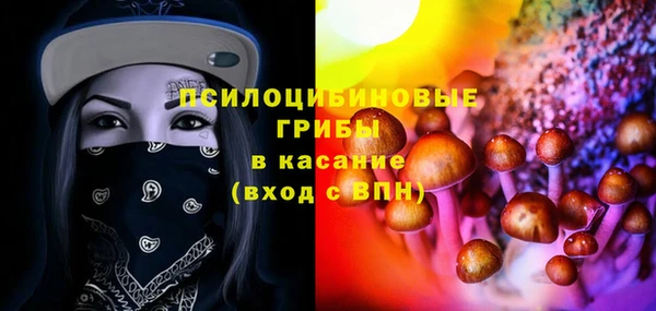 спиды Вяземский