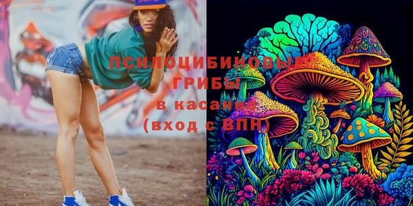 спиды Вяземский